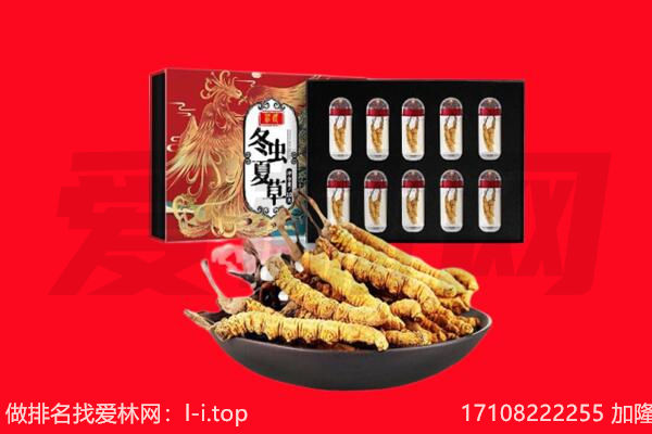宝鸡市凤县回收虫草.jpg